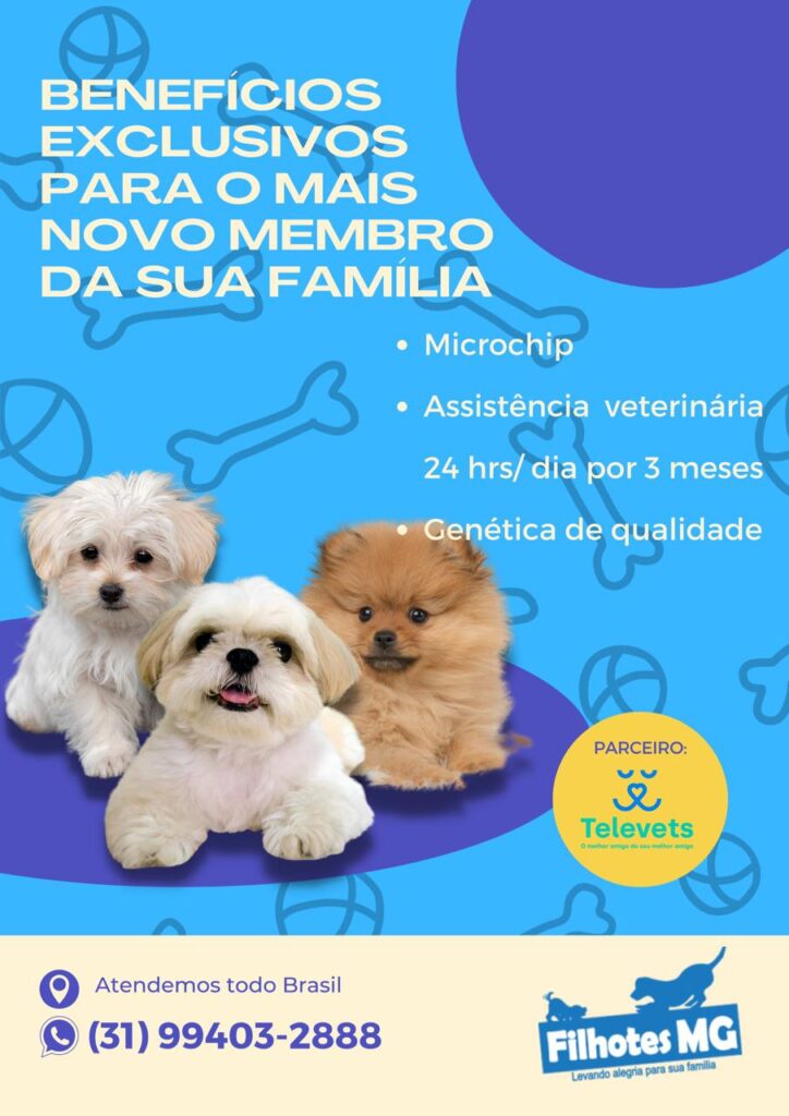 IMG-20230302-WA0039-1