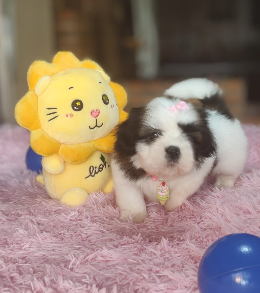 IMG_20221122_125409923_MF_PORTRAIT2