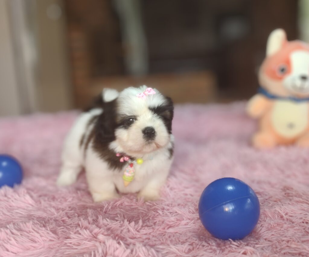 IMG_20221122_125529054_MF_PORTRAIT2