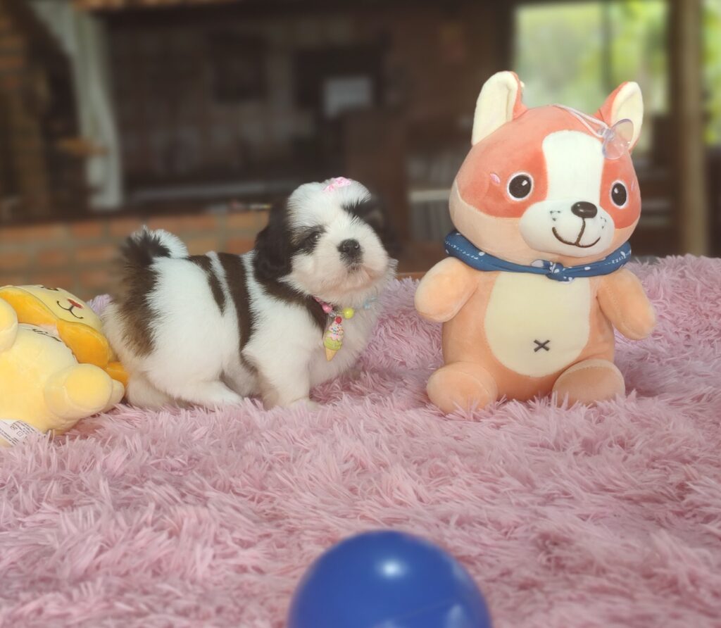 IMG_20221122_125545205_MF_PORTRAIT