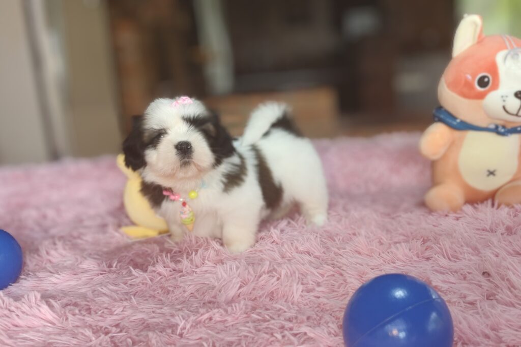 IMG_20221122_125617519_MF_PORTRAIT2