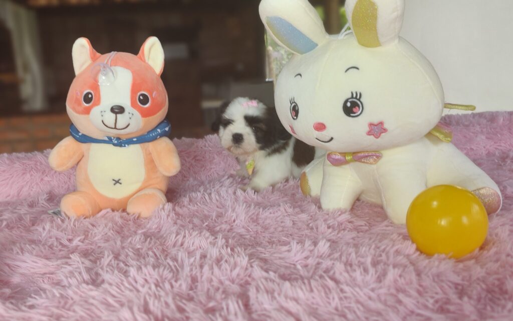 IMG_20221122_125825907_MF_PORTRAIT-scaled