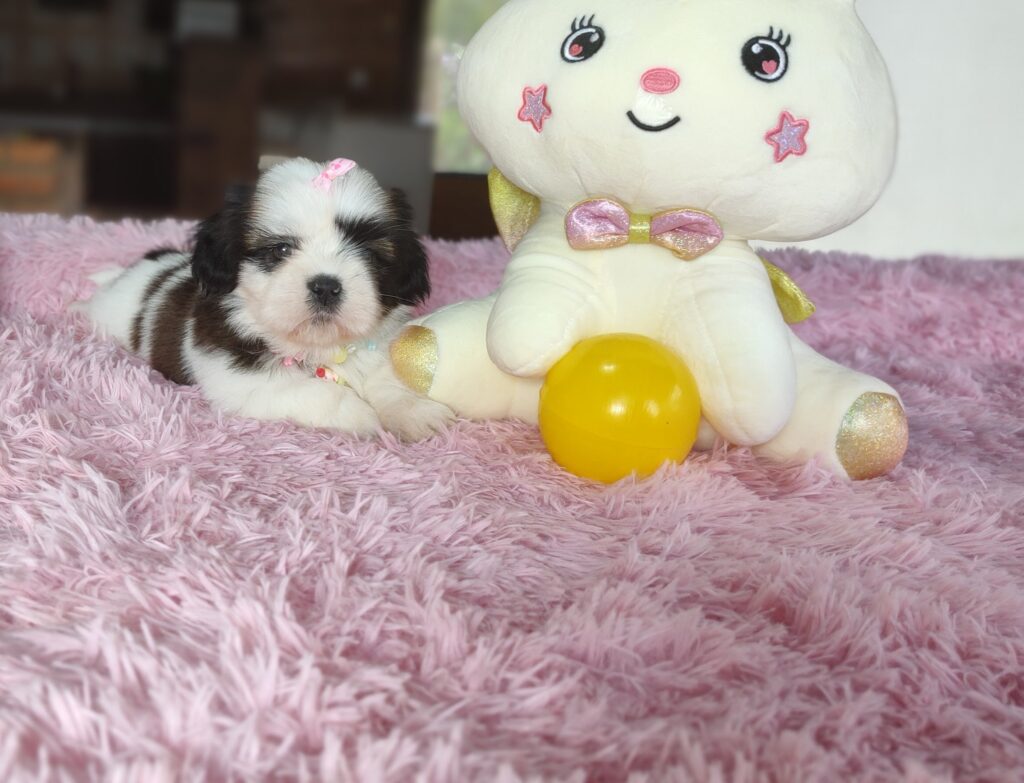 IMG_20221122_130104590_MF_PORTRAIT