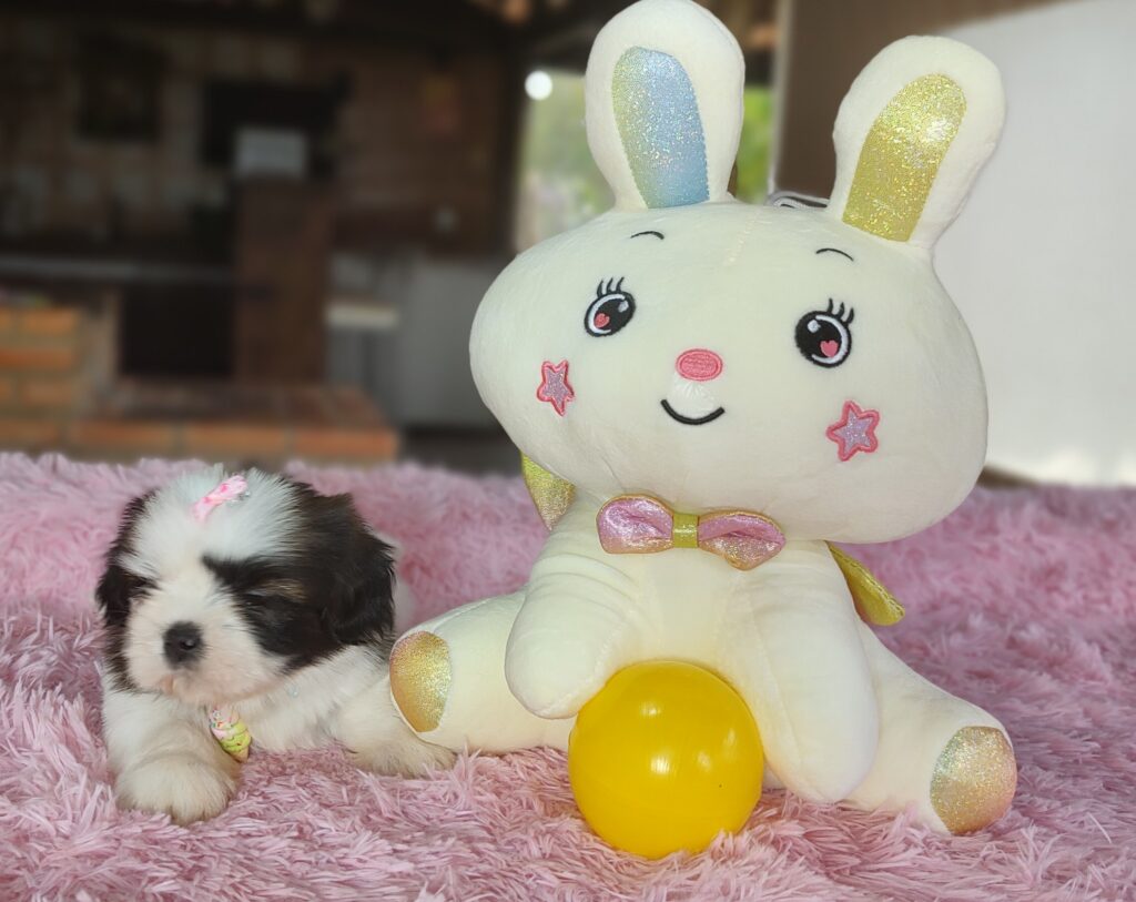 IMG_20221122_130108403_MF_PORTRAIT-1