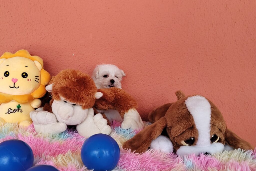 IMG_20230202_113157812-1-scaled