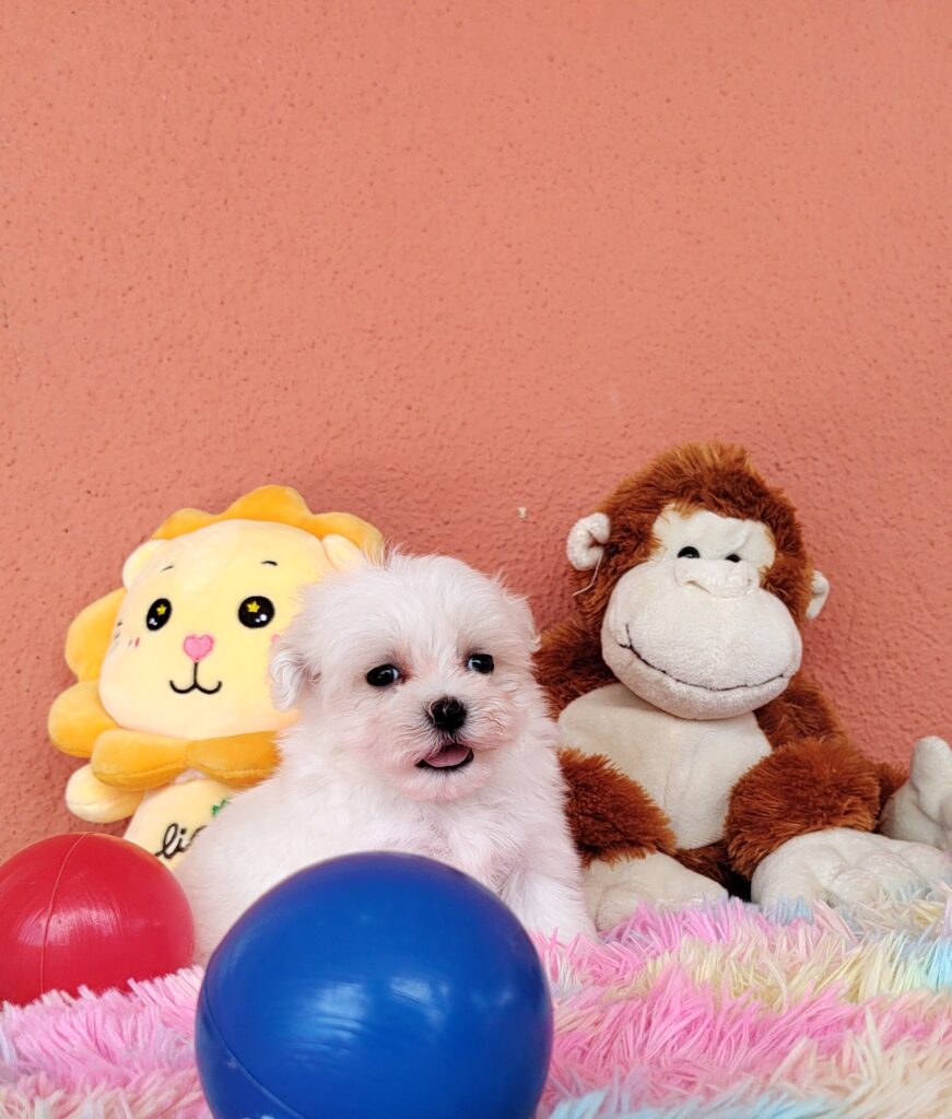 IMG_20230202_113236150-1