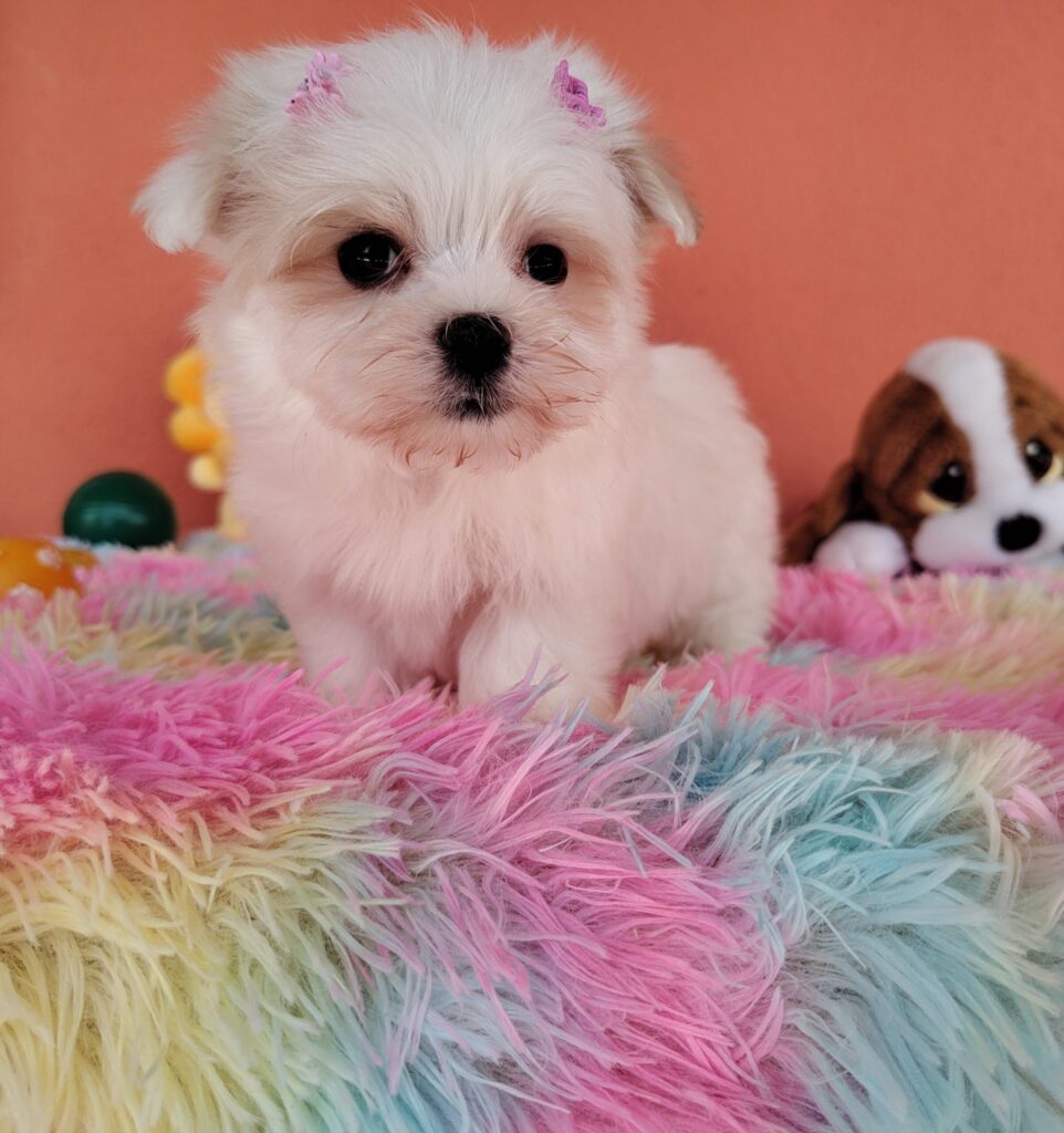 IMG_20230202_123033012-scaled