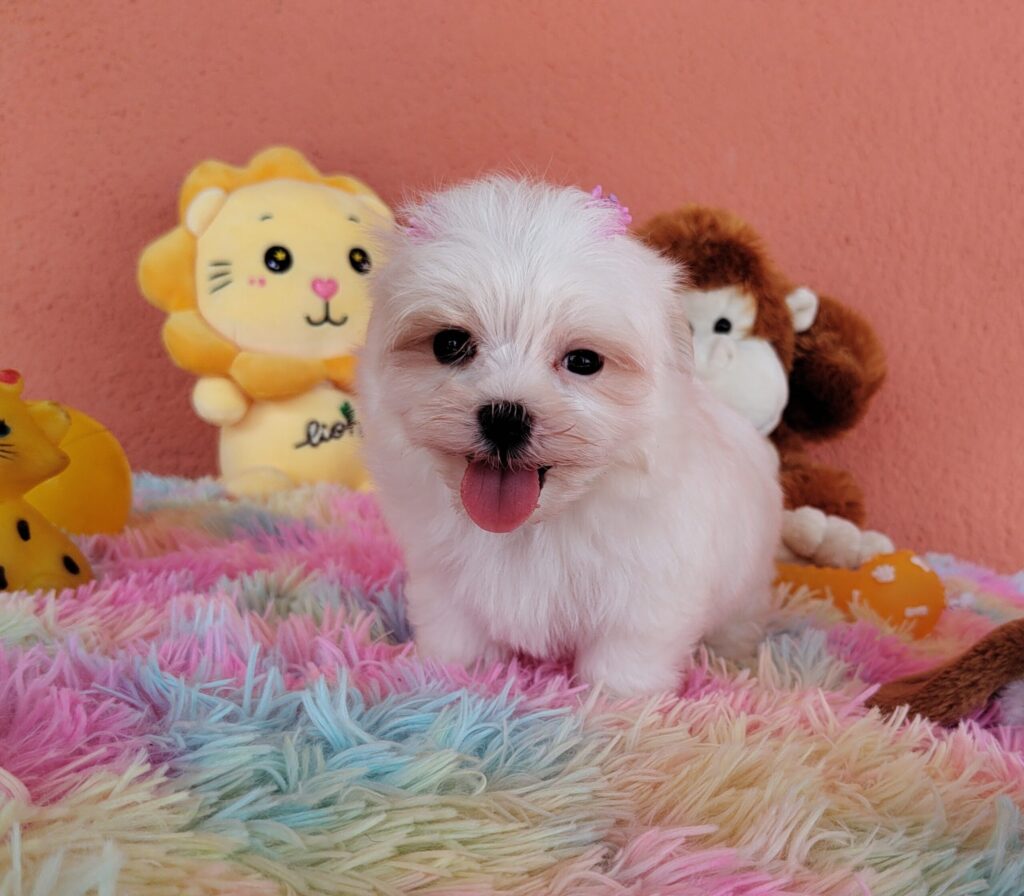 IMG_20230202_123314252-scaled