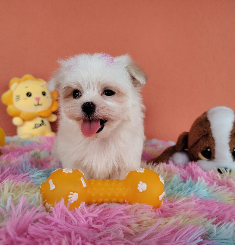 IMG_20230202_123412099-scaled