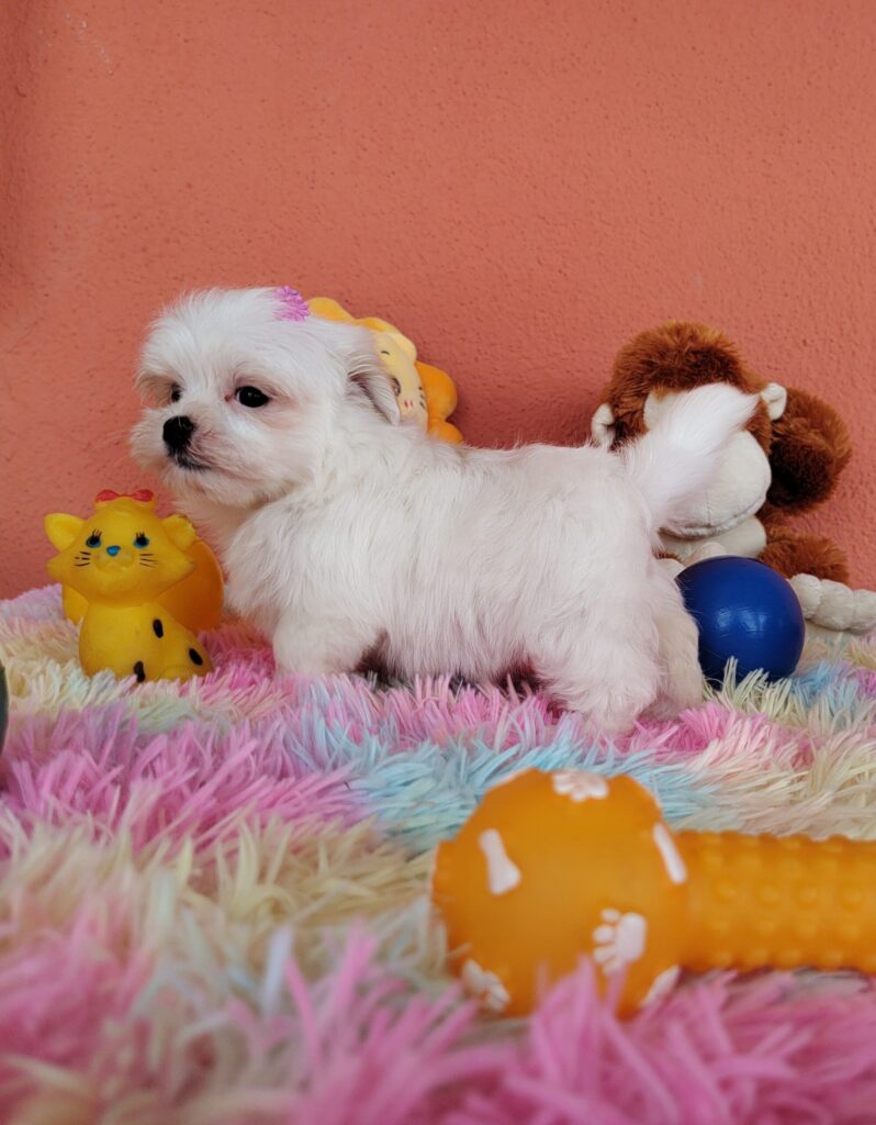 IMG_20230202_123420887-scaled