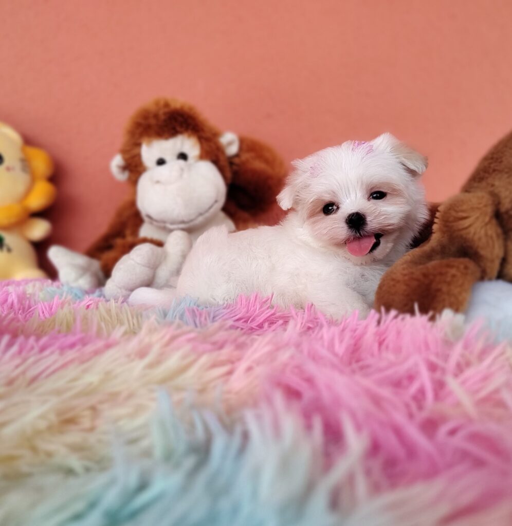 IMG_20230202_123556318_MF_PORTRAIT-scaled