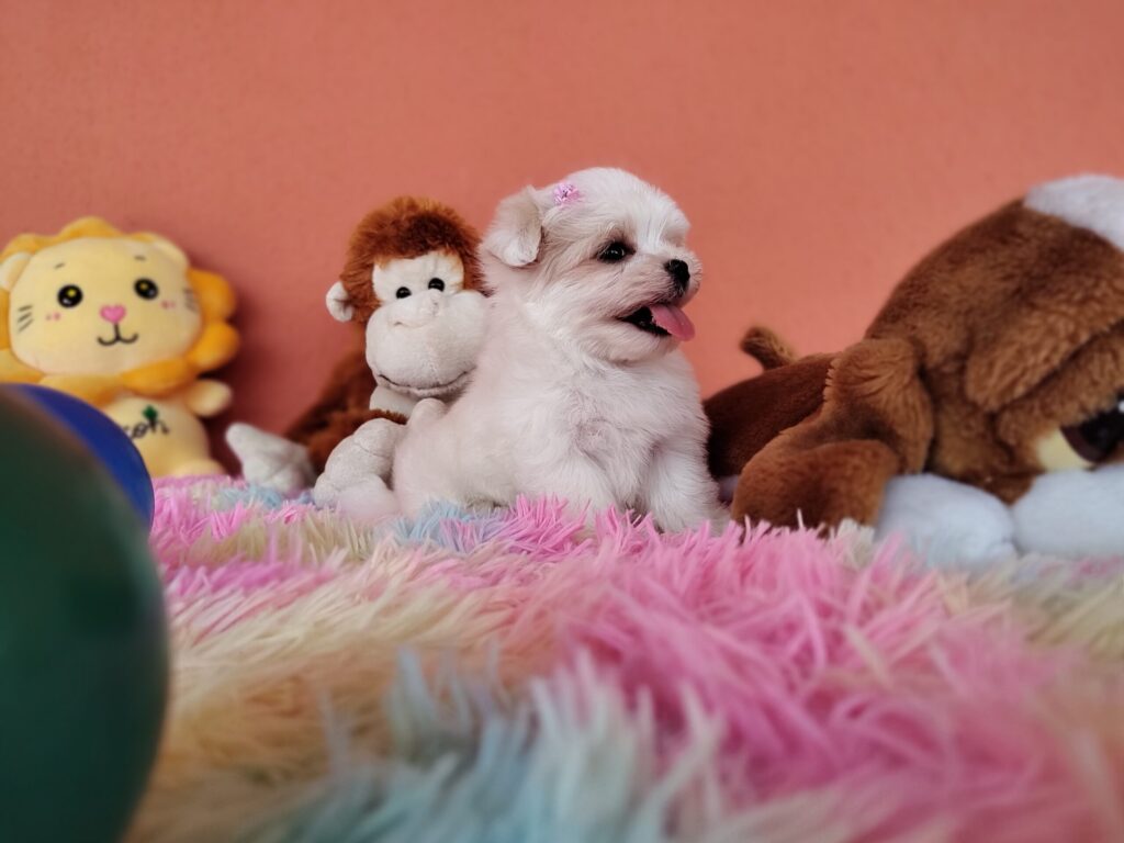 IMG_20230202_123620058_MF_PORTRAIT-scaled