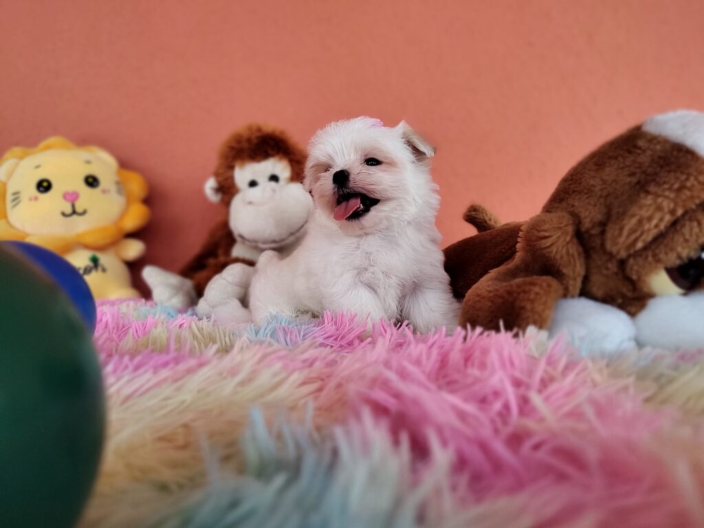 IMG_20230202_123623283_MF_PORTRAIT-scaled