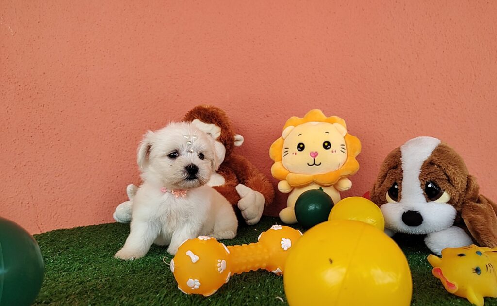 IMG_20230214_104900308-scaled