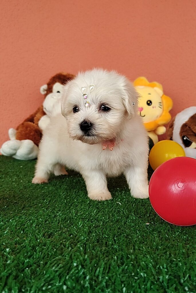 IMG_20230214_104949171-scaled