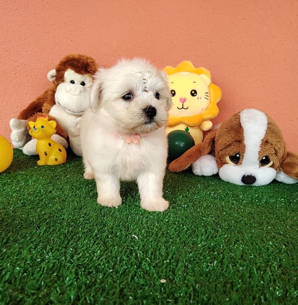 IMG_20230214_105005960-scaled