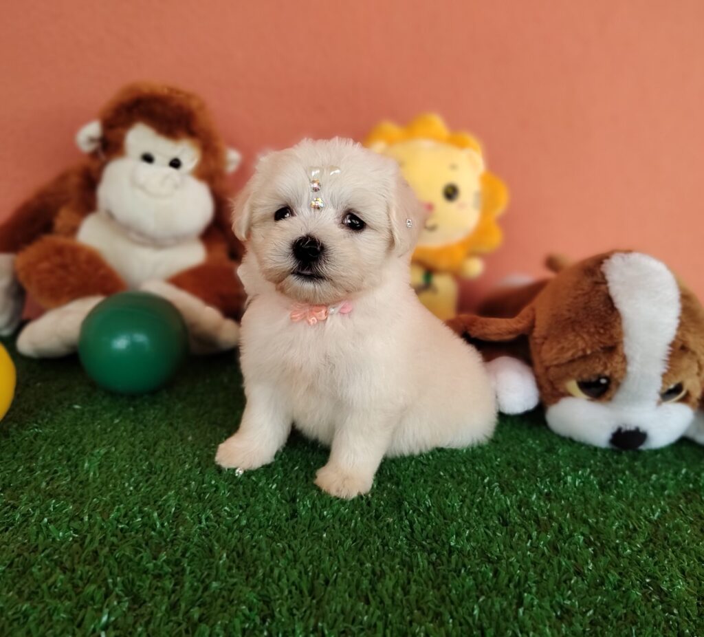 IMG_20230214_105244927_MF_PORTRAIT-scaled