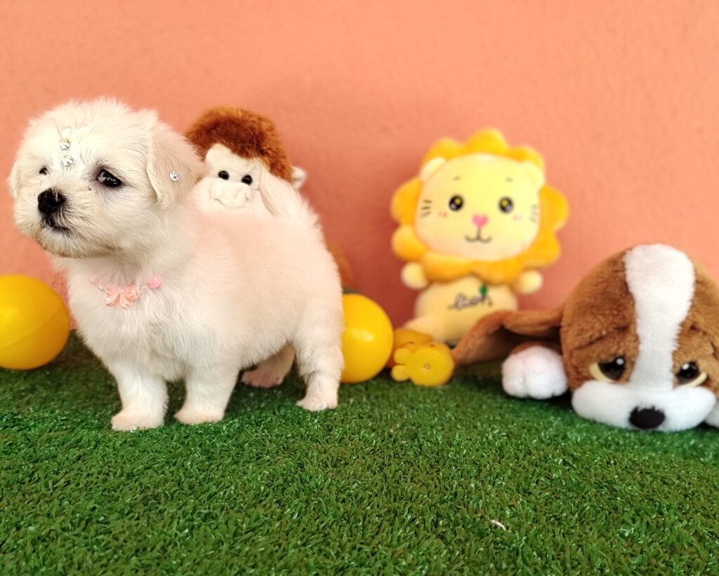 IMG_20230214_105308534_MF_PORTRAIT2-scaled