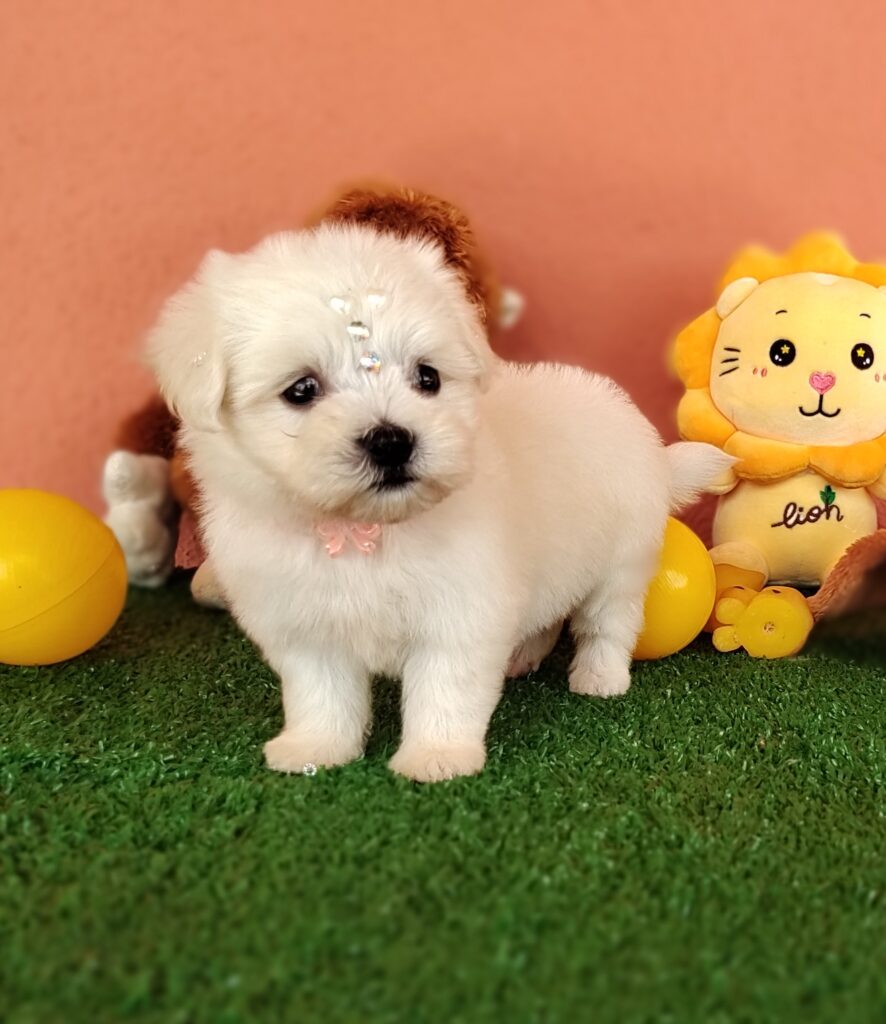 IMG_20230214_105313718_MF_PORTRAIT-l