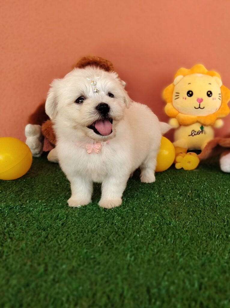 IMG_20230214_105313718_MF_PORTRAIT-scaled