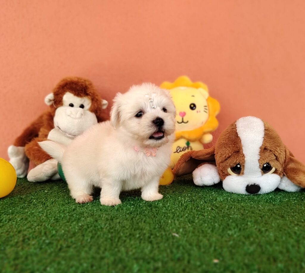 IMG_20230214_105328582_MF_PORTRAIT-scaled