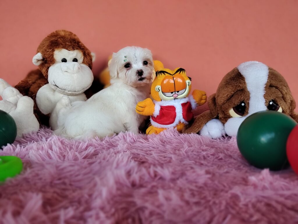 IMG_20230224_155808130_MF_PORTRAIT-scaled