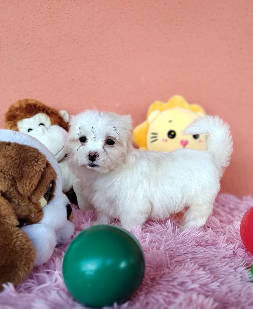 IMG_20230224_160330802_MF_PORTRAIT