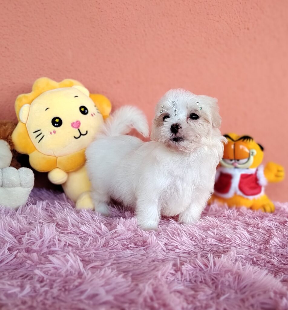 IMG_20230224_160509392_MF_PORTRAIT