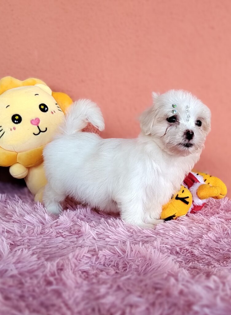 IMG_20230224_160520492_MF_PORTRAIT