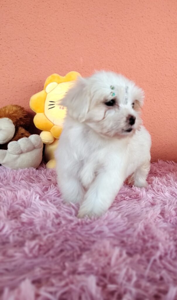 IMG_20230224_160635569_MF_PORTRAIT-scaled