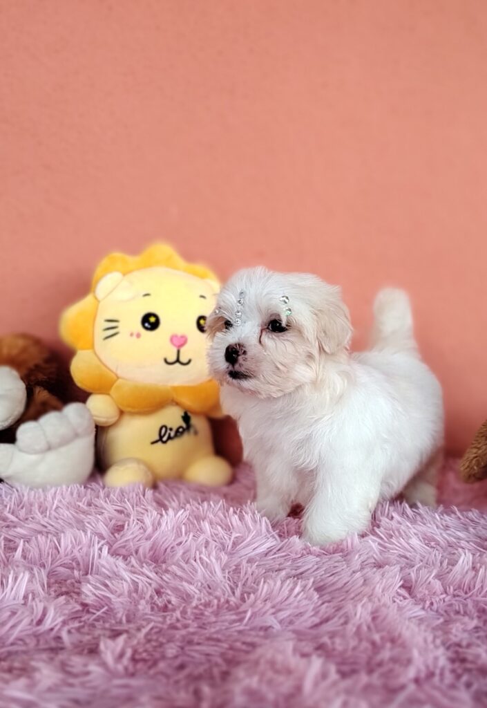 IMG_20230224_160643297_MF_PORTRAIT-scaled