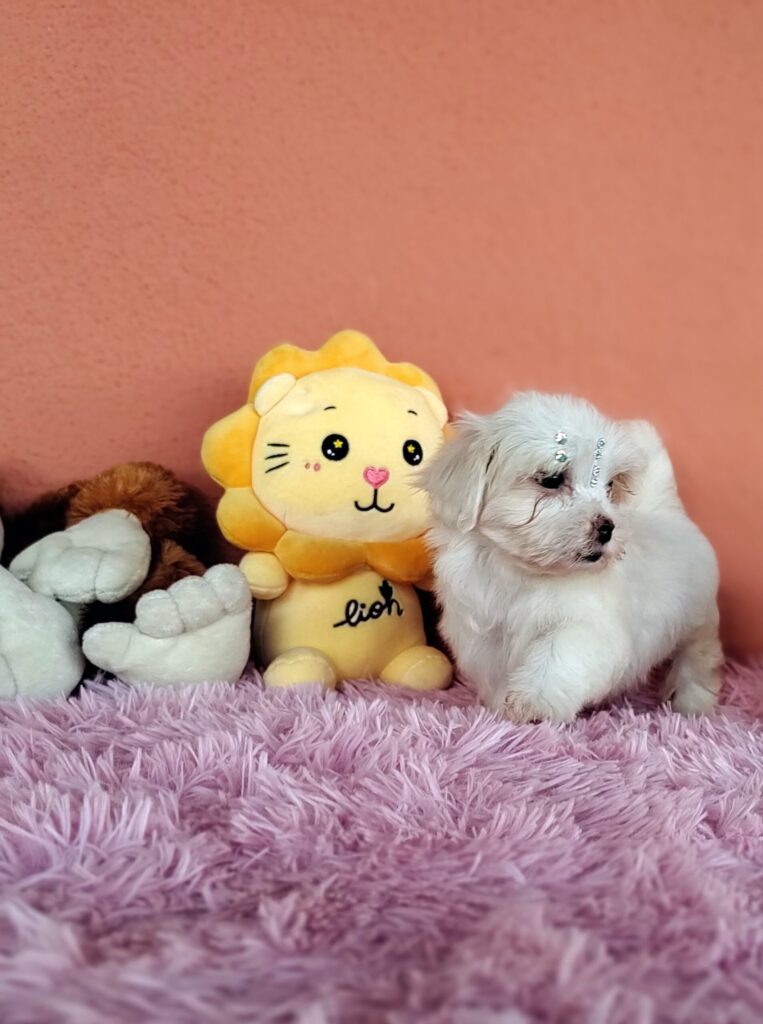 IMG_20230224_160644112_MF_PORTRAIT-scaled