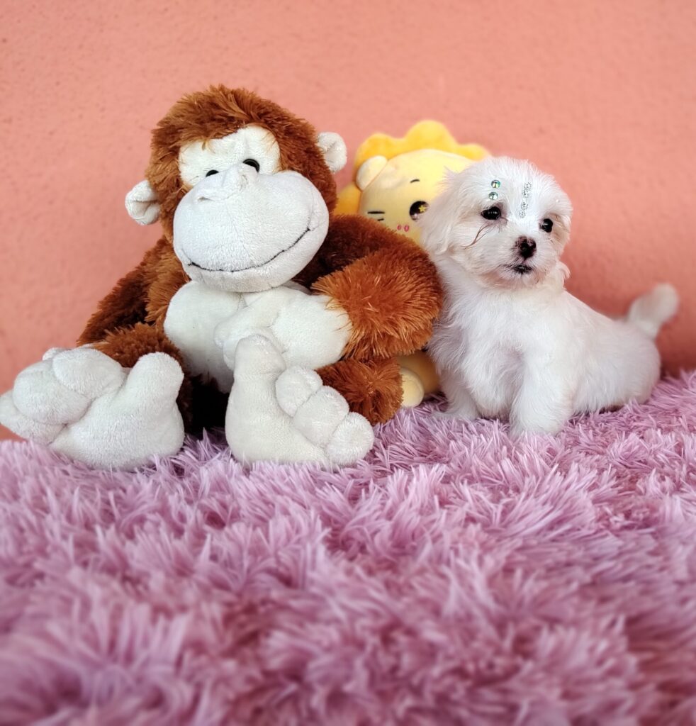 IMG_20230224_160700444_MF_PORTRAIT-scaled