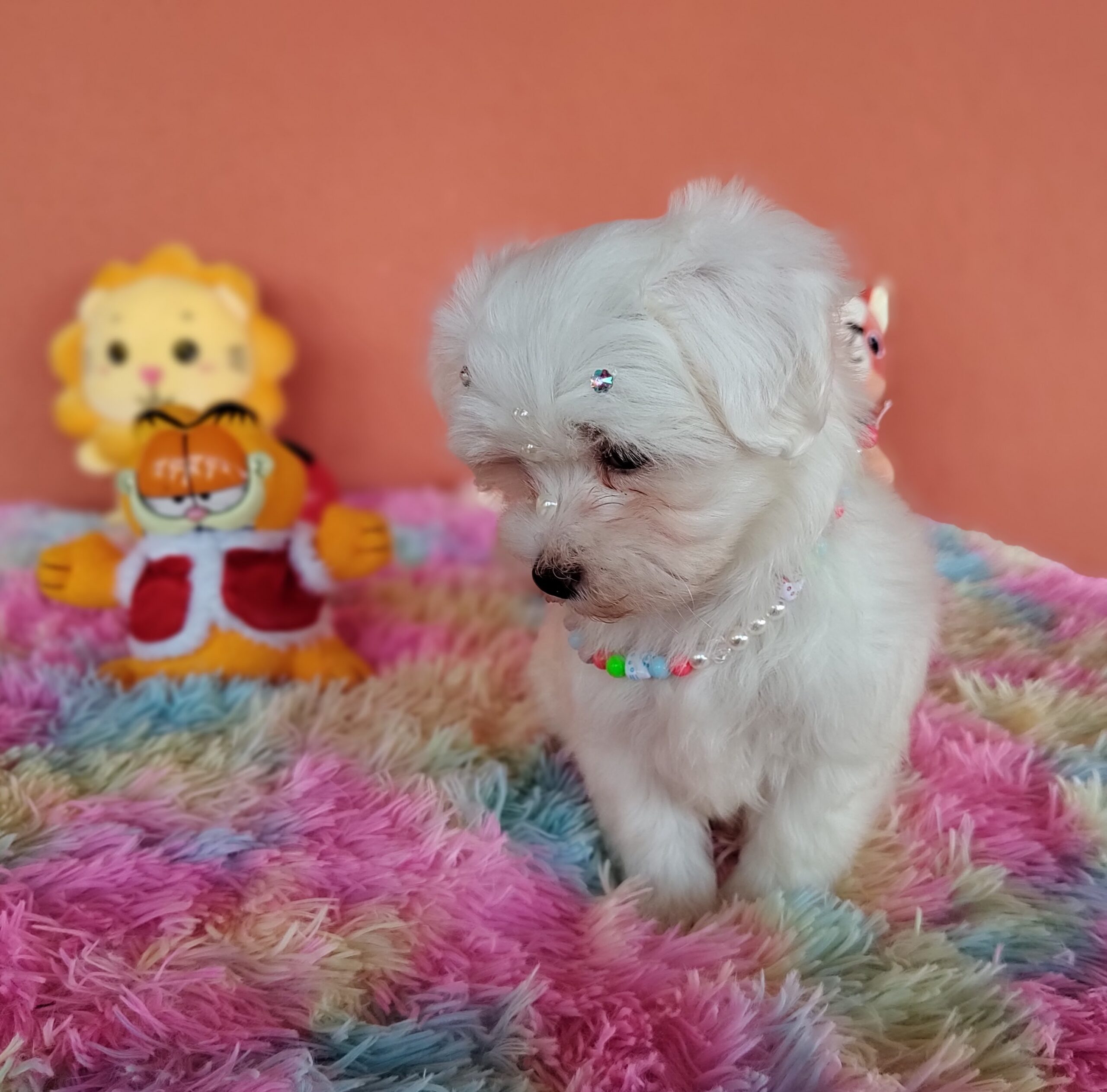 IMG_20230224_161618785_MF_PORTRAIT-scaled