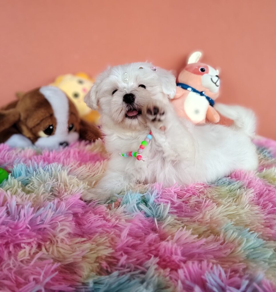 IMG_20230224_162107870_MF_PORTRAIT2-scaled