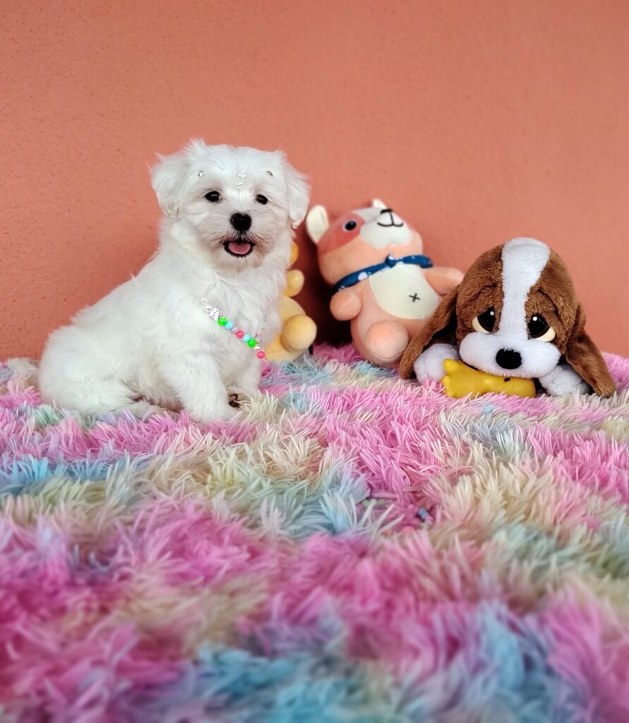 IMG_20230224_162526697_MF_PORTRAIT-sc