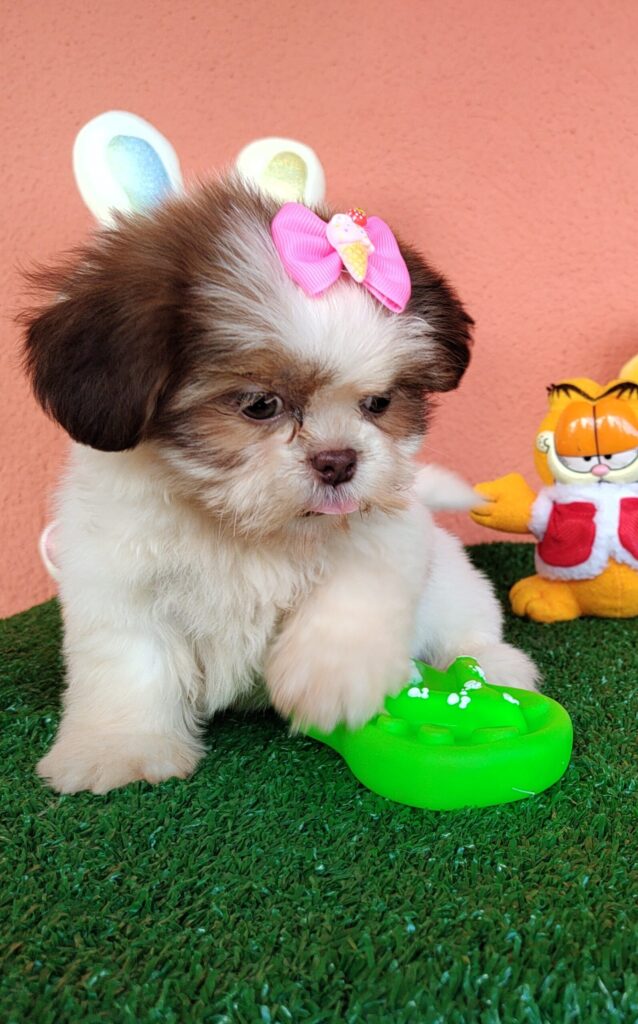 IMG_20230228_094216482-scaled