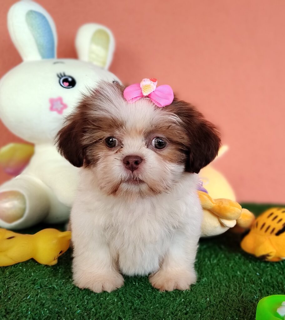 IMG_20230228_094327559_MF_PORTRAIT