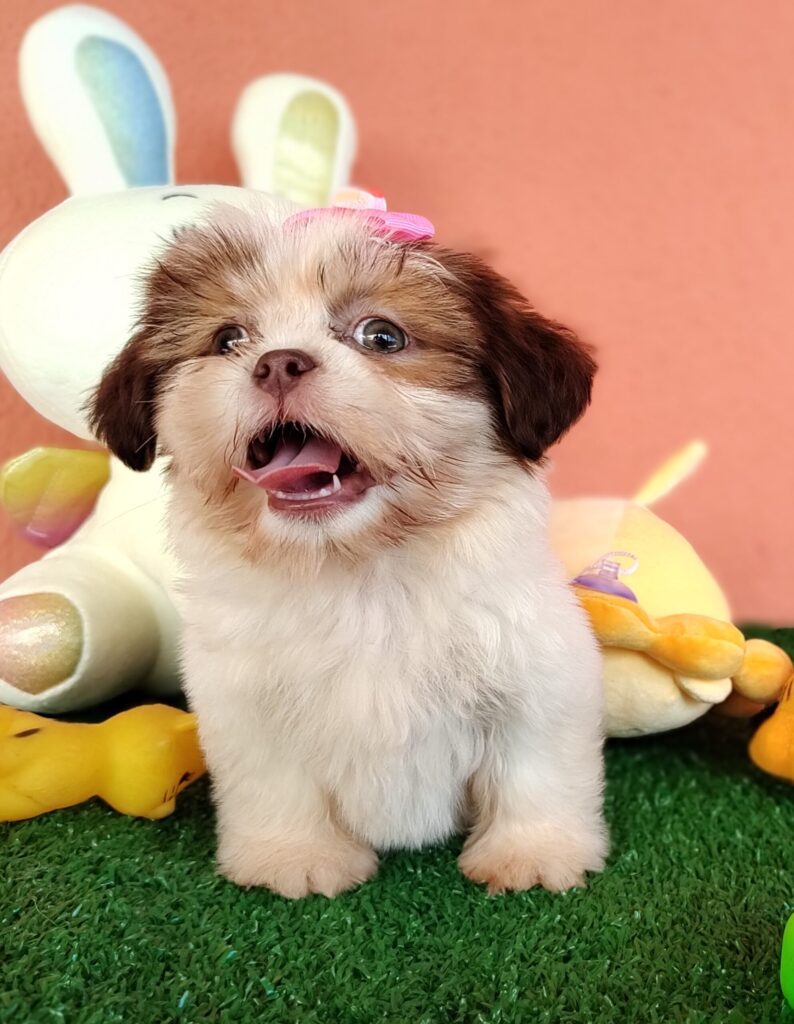 IMG_20230228_094331077_MF_PORTRAIT-scaled