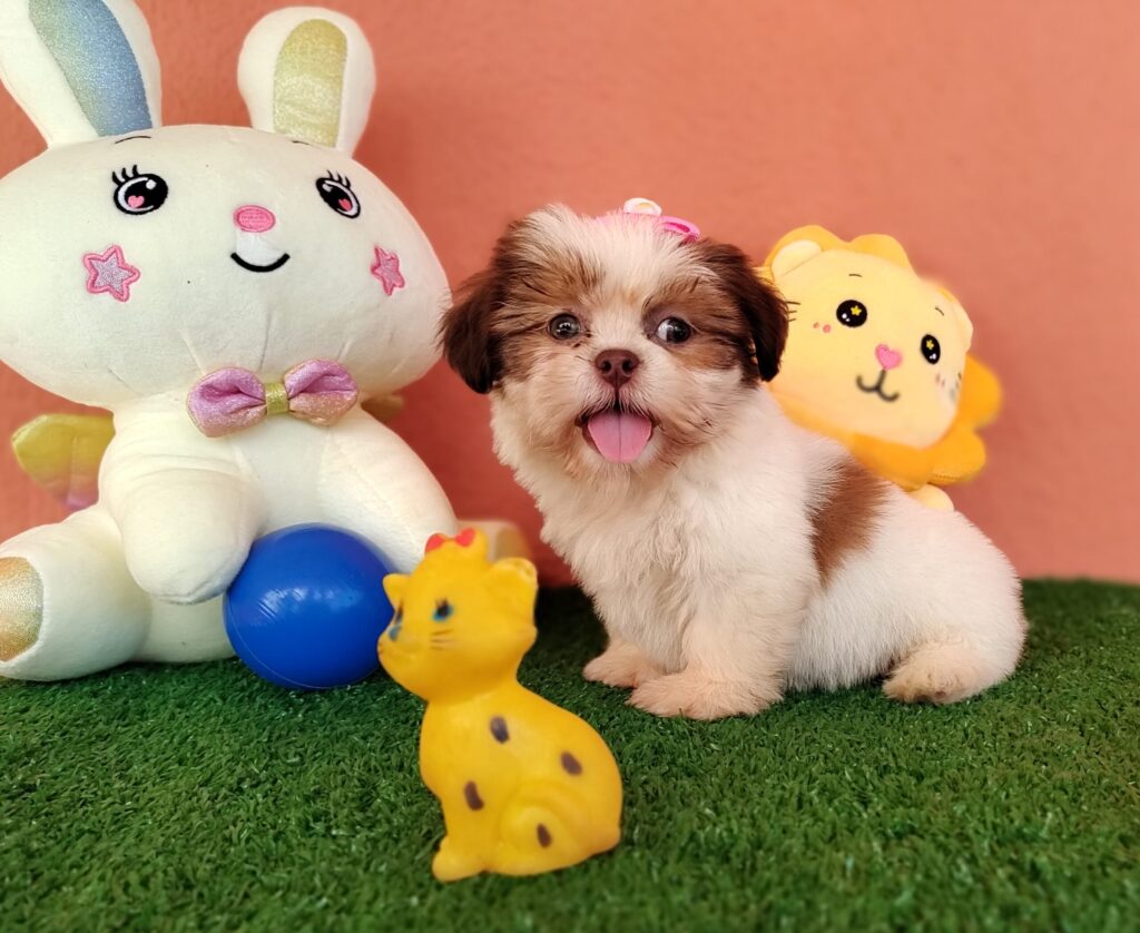 IMG_20230228_094506488_MF_PORTRAIT-scaled