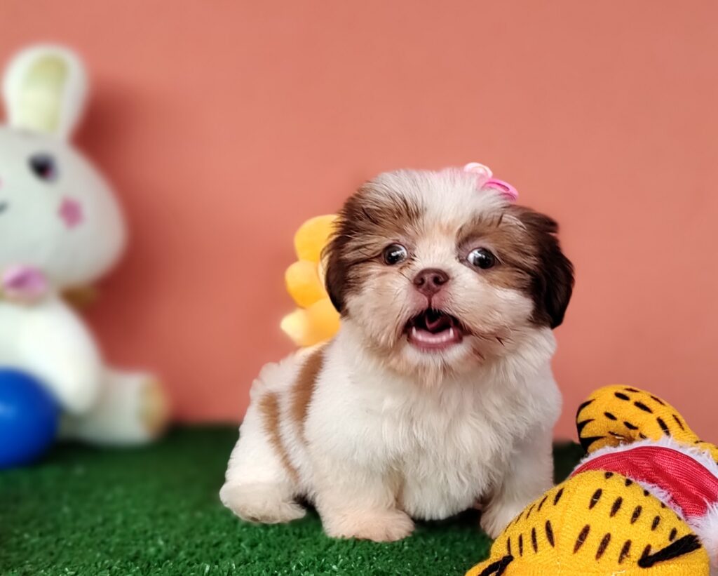 IMG_20230228_094548731_MF_PORTRAIT