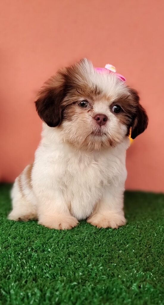 IMG_20230228_094601424_MF_PORTRAIT-scaled