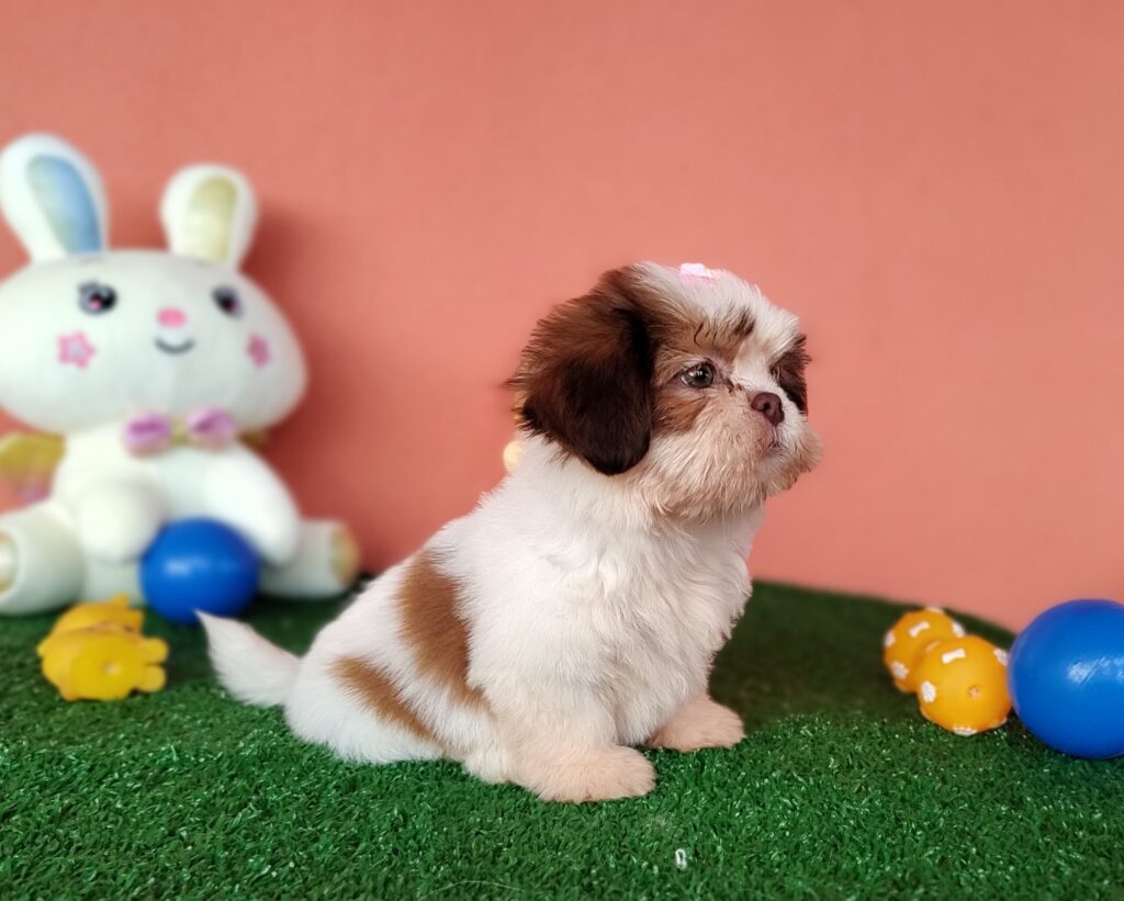 IMG_20230228_094738634_MF_PORTRAIT-scaled