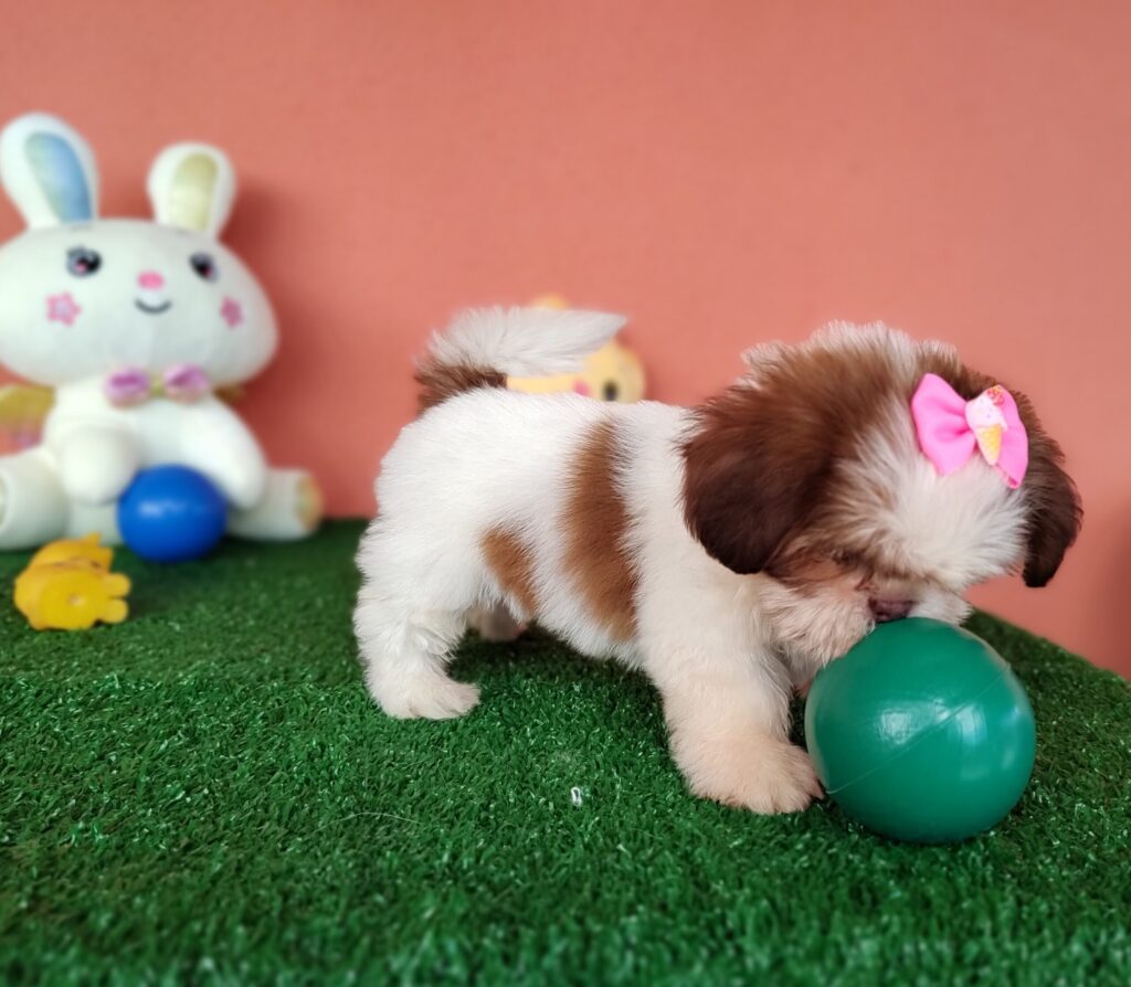 IMG_20230228_094746708_MF_PORTRAIT-scaled