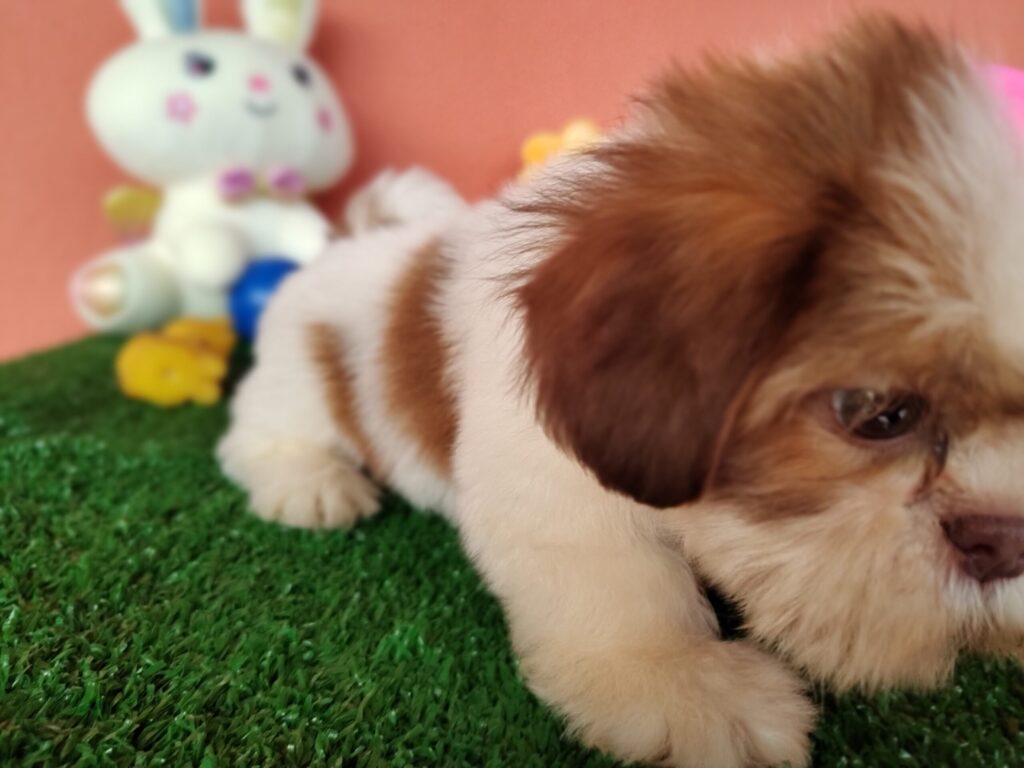 IMG_20230228_094839122_MF_PORTRAIT-scaled