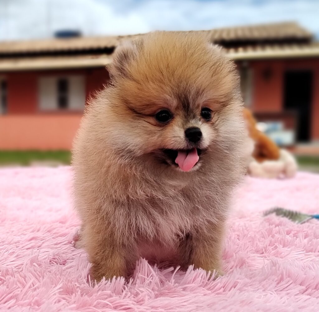 IMG_20230309_103517967_MF_PORTRAIT