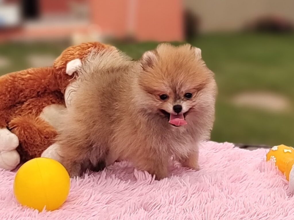 IMG_20230309_103852919_MF_PORTRAIT