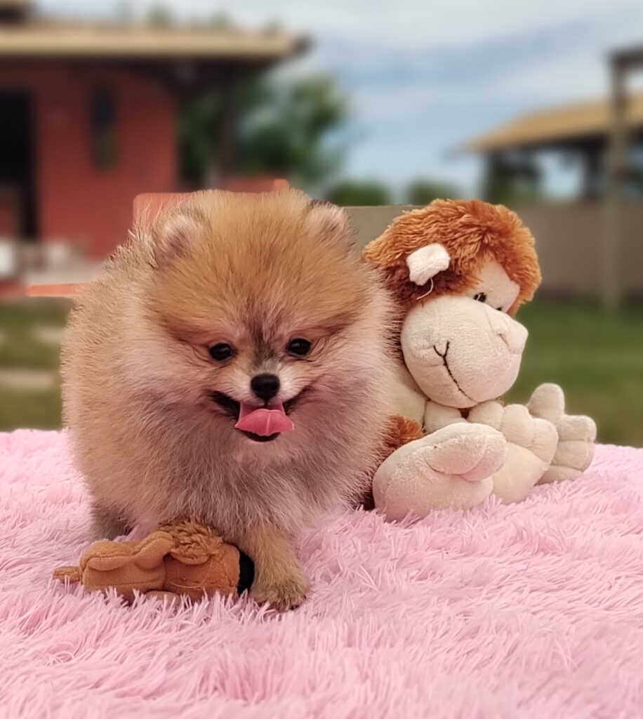 IMG_20230309_103909768_MF_PORTRAIT