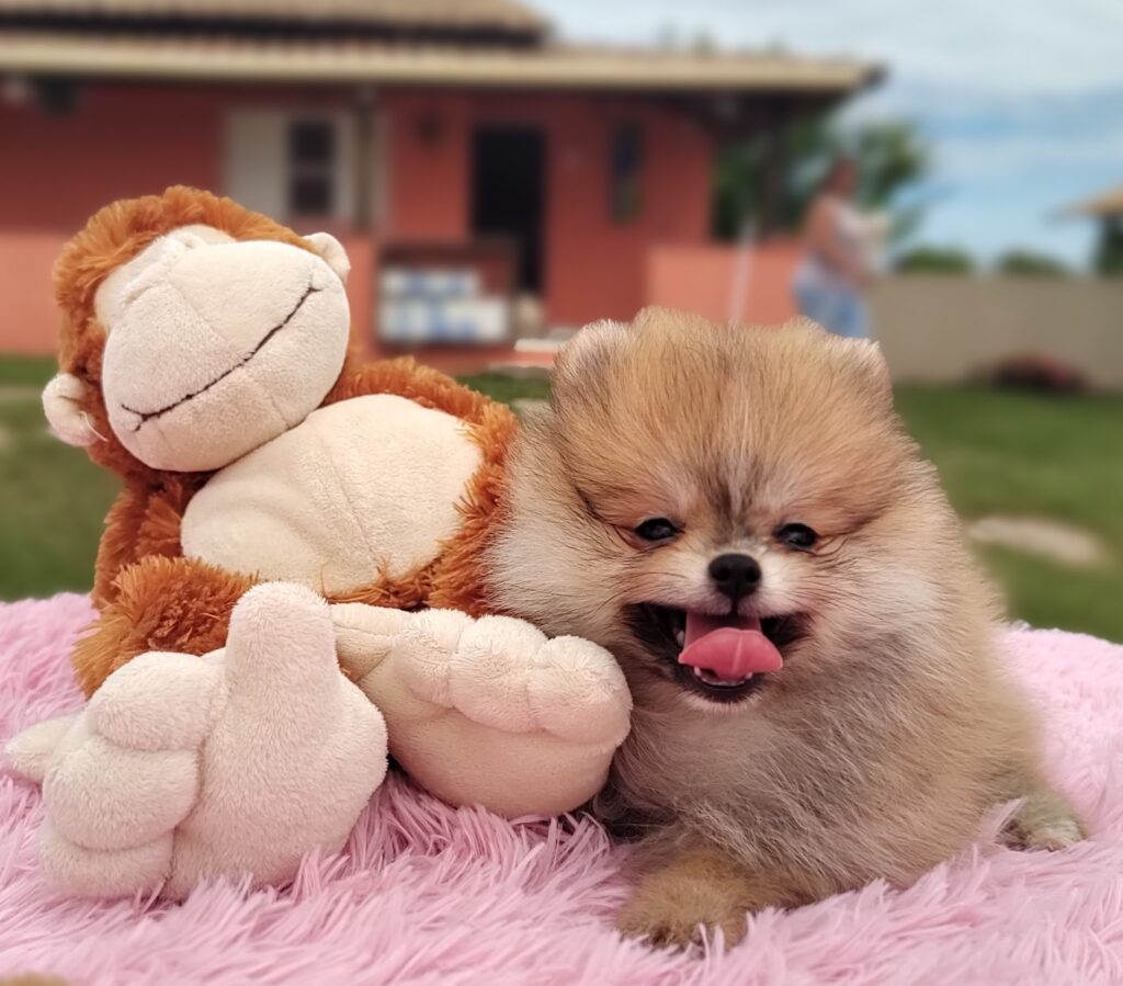 IMG_20230309_103933946_MF_PORTRAIT