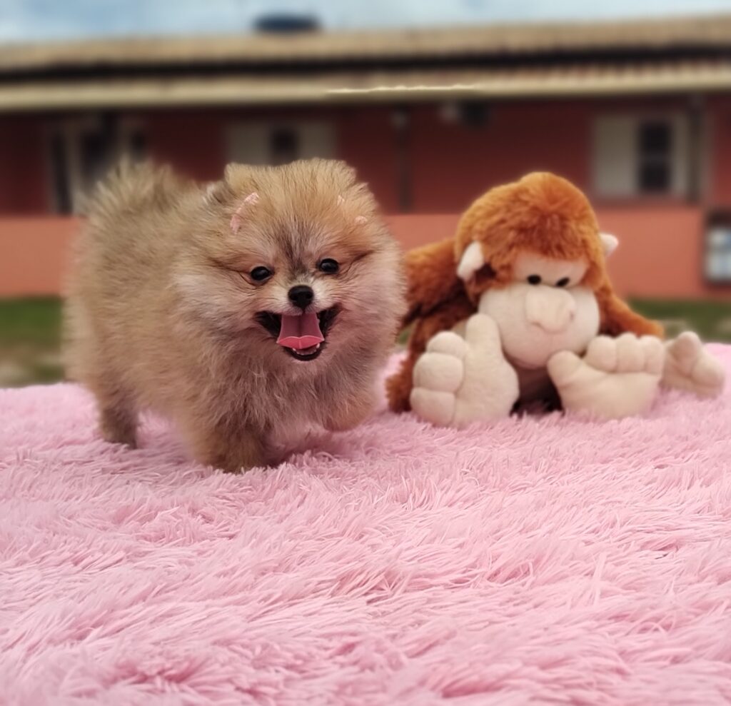 IMG_20230309_104208813_MF_PORTRAIT